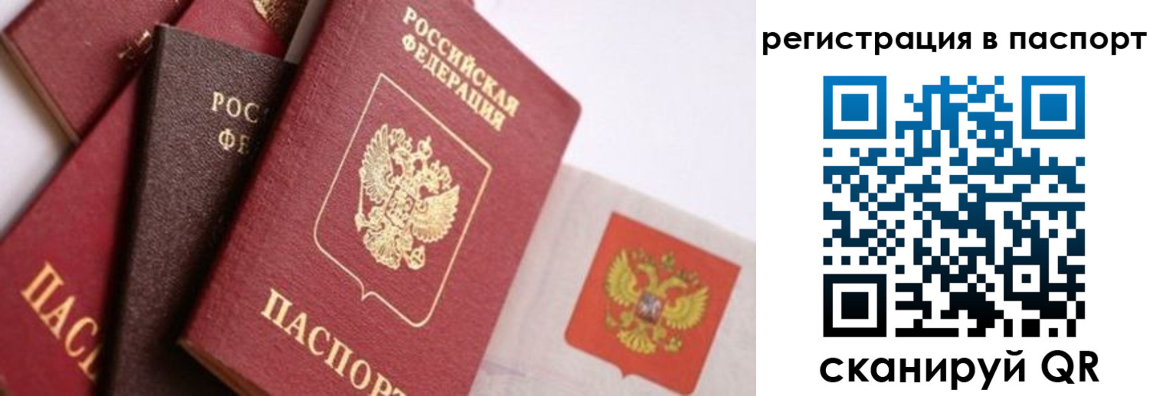 прописка в квартире в Исилькуле